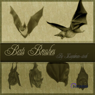 吸血蝙蝠、恐怖蝙蝠Photoshop笔刷下载-玩吧资源站
