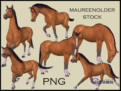 壮实的棕色骏马、站立的马图像Photoshop马笔刷素材(PNG图片素材)-玩吧资源站