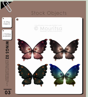 七彩蝴蝶标本图案PS笔刷素材下载（PNG图片素材）-玩吧资源站