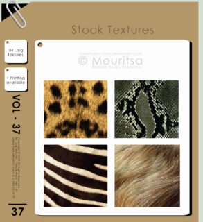 4种皮毛纹理、蟒蛇纹理、斑马纹理、豹子纹理、狮子毛发材质PS动物素材（PNG图片素材）-玩吧资源站