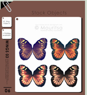 七彩蝴蝶翅膀图案PS笔刷免费下载（PNG透明图片格式）-玩吧资源站