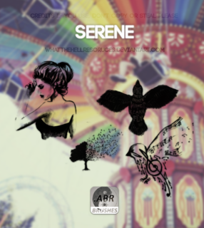 非主流女性、飞鸟、音乐元素笔刷PS素材下载-玩吧资源站