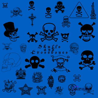 邪恶骷髅头纹身、恐怖骷髅头刺青Photoshop笔刷下载-玩吧资源站