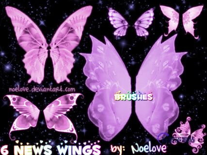 6种蝴蝶昆虫翅膀PS笔刷下载-玩吧资源站