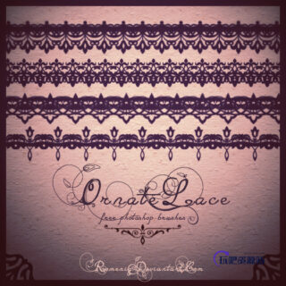 性感蕾丝刺绣花边图案Photoshop笔刷下载-玩吧资源站