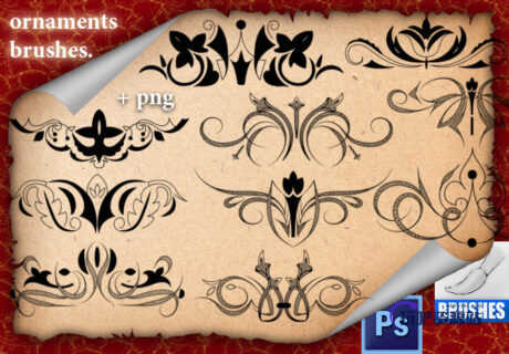 精美优雅的欧式贵族植物印花图案Photoshop印花笔刷-玩吧资源站