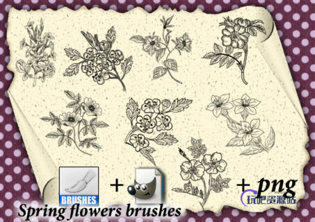 写实的植物花卉图案、野草野花PS花纹笔刷-玩吧资源站