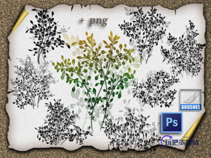 绿叶枝条花纹图案、叶子印花PS笔刷下载-玩吧资源站