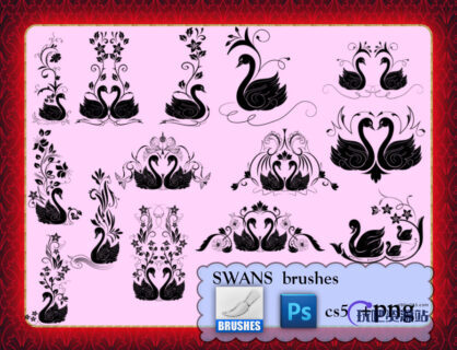 漂亮的天鹅花纹图案Photoshop爱情花纹笔刷-玩吧资源站