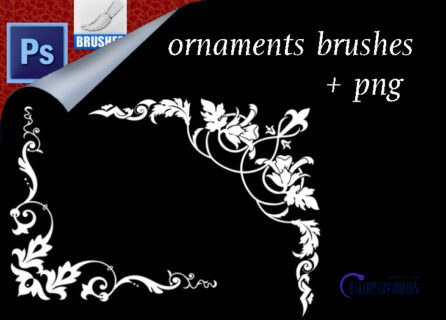 精美的植物花纹边框、边角图案PS笔刷素材下载-玩吧资源站