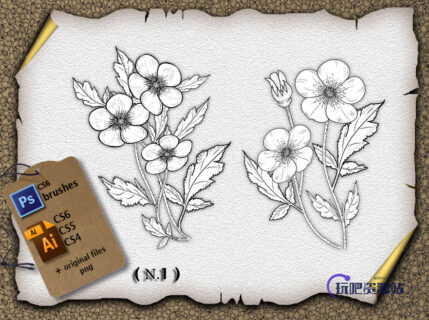 漂亮的荷青花花纹图案PS笔刷下载-玩吧资源站