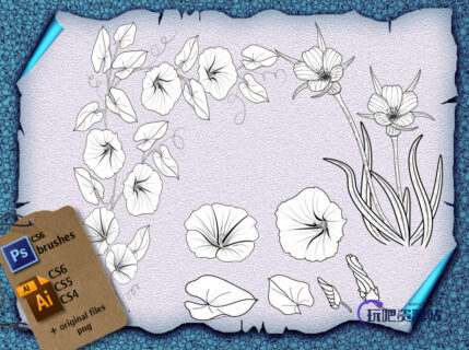 喇叭花、鲜花图案Photoshop植物花纹笔刷-玩吧资源站