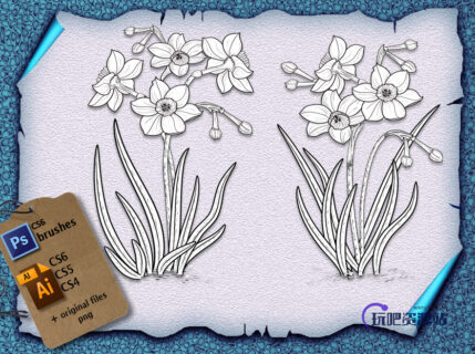 手绘水仙花图像Photoshop鲜花图案笔刷（含AI矢量文件）-玩吧资源站