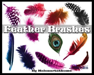 各种漂亮的飞禽羽毛素材PS笔刷下载-玩吧资源站