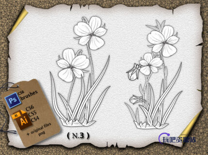 绽放的鲜花花朵、花卉图案PS笔刷下载（AI文件下载）-玩吧资源站