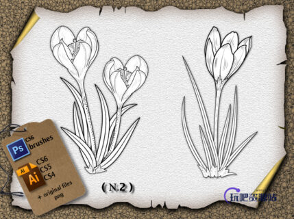 整株鲜花花朵图案、植物花纹PS笔刷下载-玩吧资源站