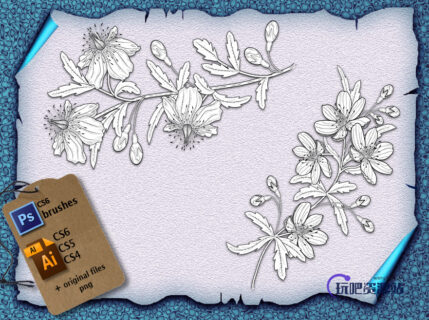 素描式植物花朵photoshop笔刷素材免费下载-玩吧资源站