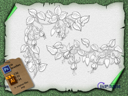藤蔓式植物花纹素材PS笔刷下载（含ai矢量素材）-玩吧资源站