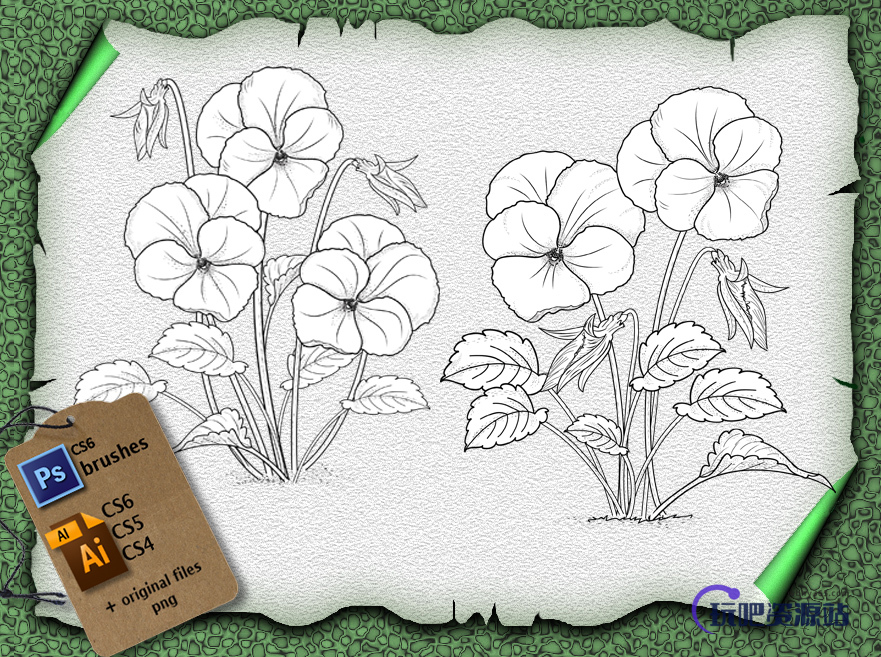 漂亮的三色堇鲜花花纹图案PS笔刷素材（含Ai矢量文件）