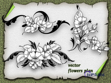 美丽的鲜花朵图案PS笔刷素材下载（PNG透明图片格式）-玩吧资源站