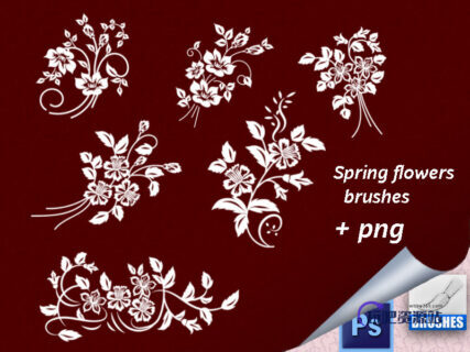 漂亮的艺术植物印花图案、精美植物花纹系列PS笔刷下载-玩吧资源站