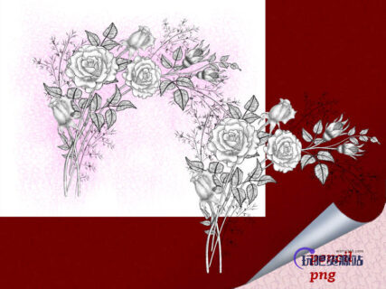 漂亮的玫瑰花花束素描图案PS笔刷下载（PNG图片格式）-玩吧资源站