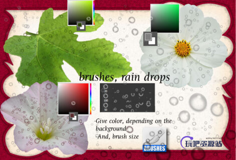 露珠、晨露、水珠子图案PS笔刷下载-玩吧资源站