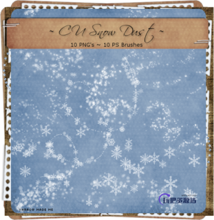 小雪花、小冰晶、霜冻效果Photoshop笔刷下载-玩吧资源站
