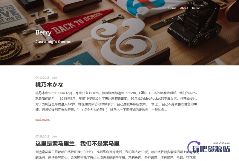 图片[1]-2022年好用的WordPress极简主题推荐-玩吧资源站