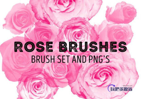 玫瑰花花朵Photoshop鲜花笔刷-玩吧资源站