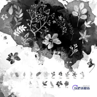 16种水彩花卉、花纹图案PS笔刷下载-玩吧资源站