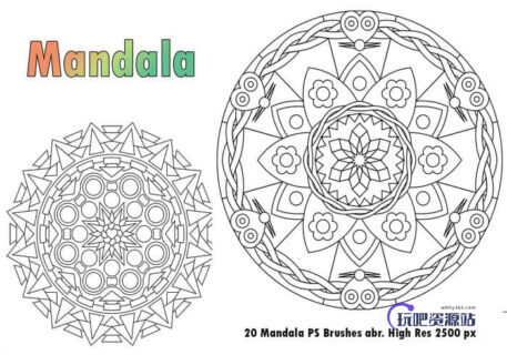 20种曼荼罗式花纹图案PS植物花纹印记笔刷-玩吧资源站