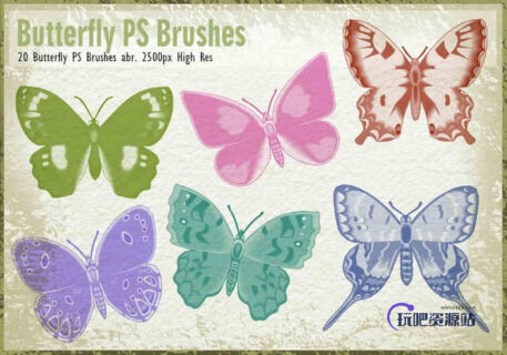 20种漂亮蝴蝶图形PS昆虫笔刷-玩吧资源站