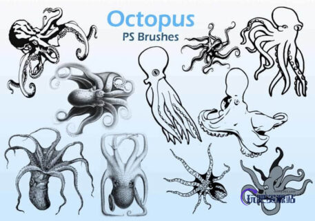 20种章鱼图形PS笔刷下载-玩吧资源站