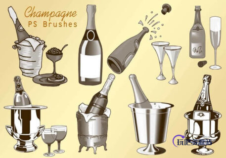 20种香槟酒瓶、酒杯与葡萄酒瓶子造型Photoshop素材笔刷-玩吧资源站