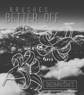 手绘线框式百合花Photoshop笔刷花纹图案-玩吧资源站