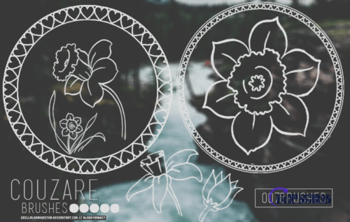 漂亮的手绘罗盘花纹图案Photoshop花纹笔刷-玩吧资源站