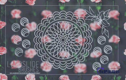 精美手绘文艺青年花纹图案Photoshop文艺范笔刷-玩吧资源站