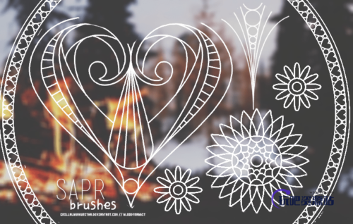 手绘小清新花纹、纹饰图案Photoshop笔刷下载-玩吧资源站