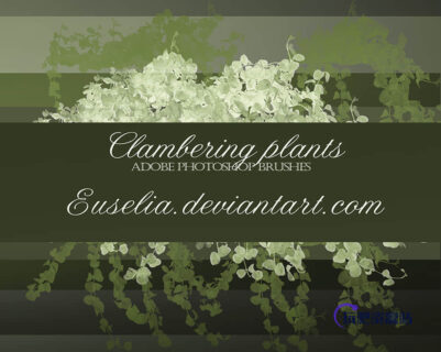 绿意植物藤蔓、藤条绿叶PS笔刷下载-玩吧资源站