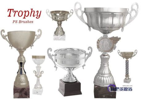 20种奖杯图形PS笔刷素材下载-玩吧资源站