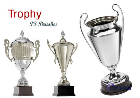 20种冠军奖杯PS笔刷下载-玩吧资源站