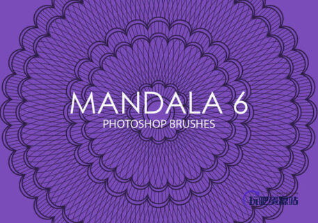 15个高质量曼陀罗植物手绘图案PS花纹笔刷-玩吧资源站