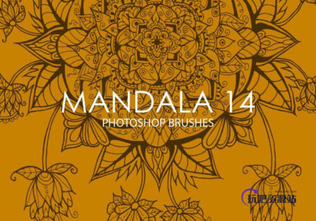 漂亮非凡的曼荼罗植物花纹、华丽印花图案PS笔刷下载-玩吧资源站
