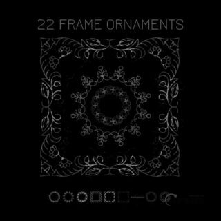 22种精美细致的手绘植物印花图案Photoshop笔刷素材下载-玩吧资源站