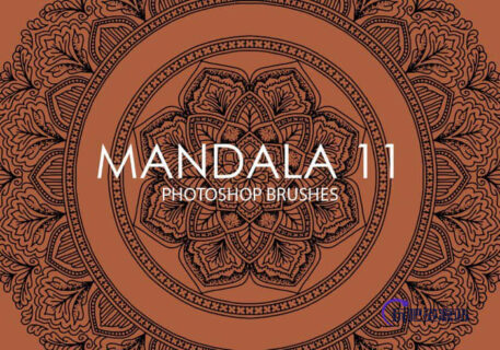 又一组经典的手绘曼陀罗、曼荼罗植物印花图案PS笔刷下载-玩吧资源站