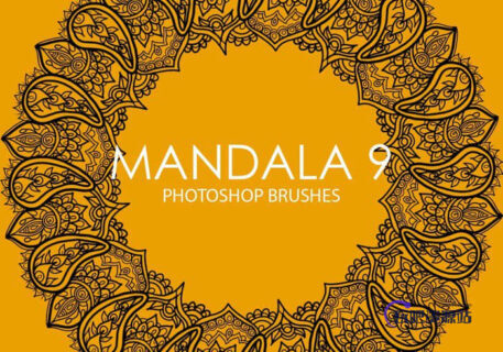 漂亮的艺术式曼荼罗植物印花图案PS笔刷下载-玩吧资源站