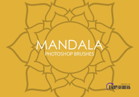 手绘漂亮的太阳花、向日葵花朵花纹Photoshop笔刷Mandala系列-玩吧资源站