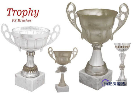 真实的奖杯图形素材PS笔刷下载-玩吧资源站
