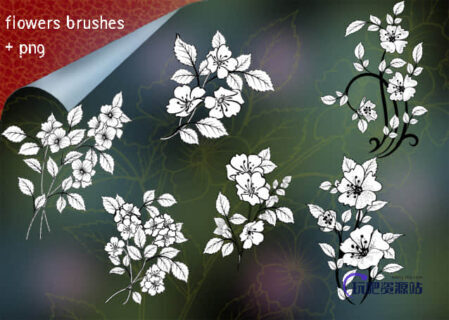 漂亮的鲜花、花朵图案Photoshop花纹笔刷-玩吧资源站